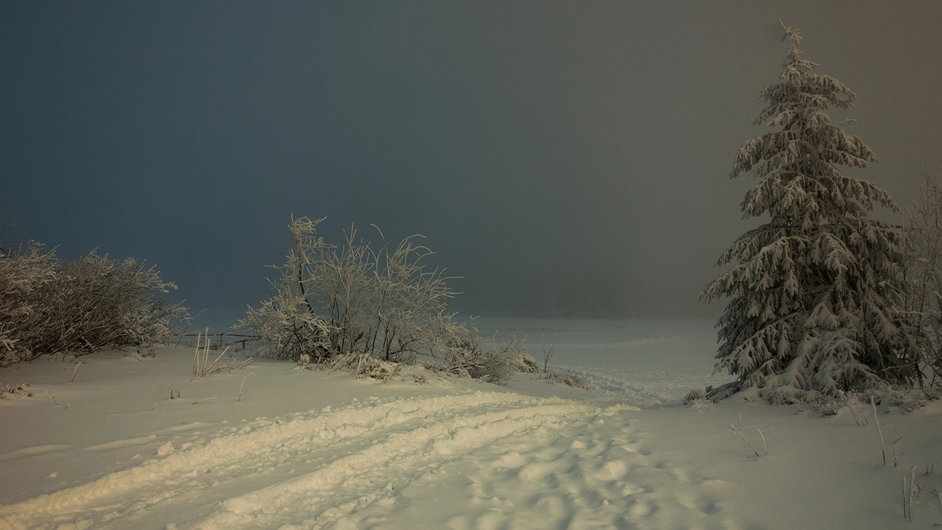 Nikon D50 sample photo. Path photography