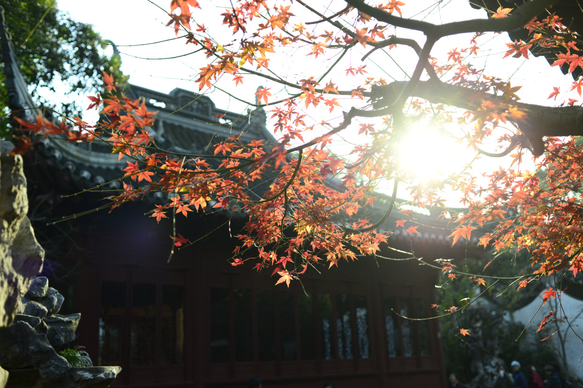 Nikon D800 + Nikon AF Nikkor 35mm F2D sample photo. This is shanghai. yu garden photography