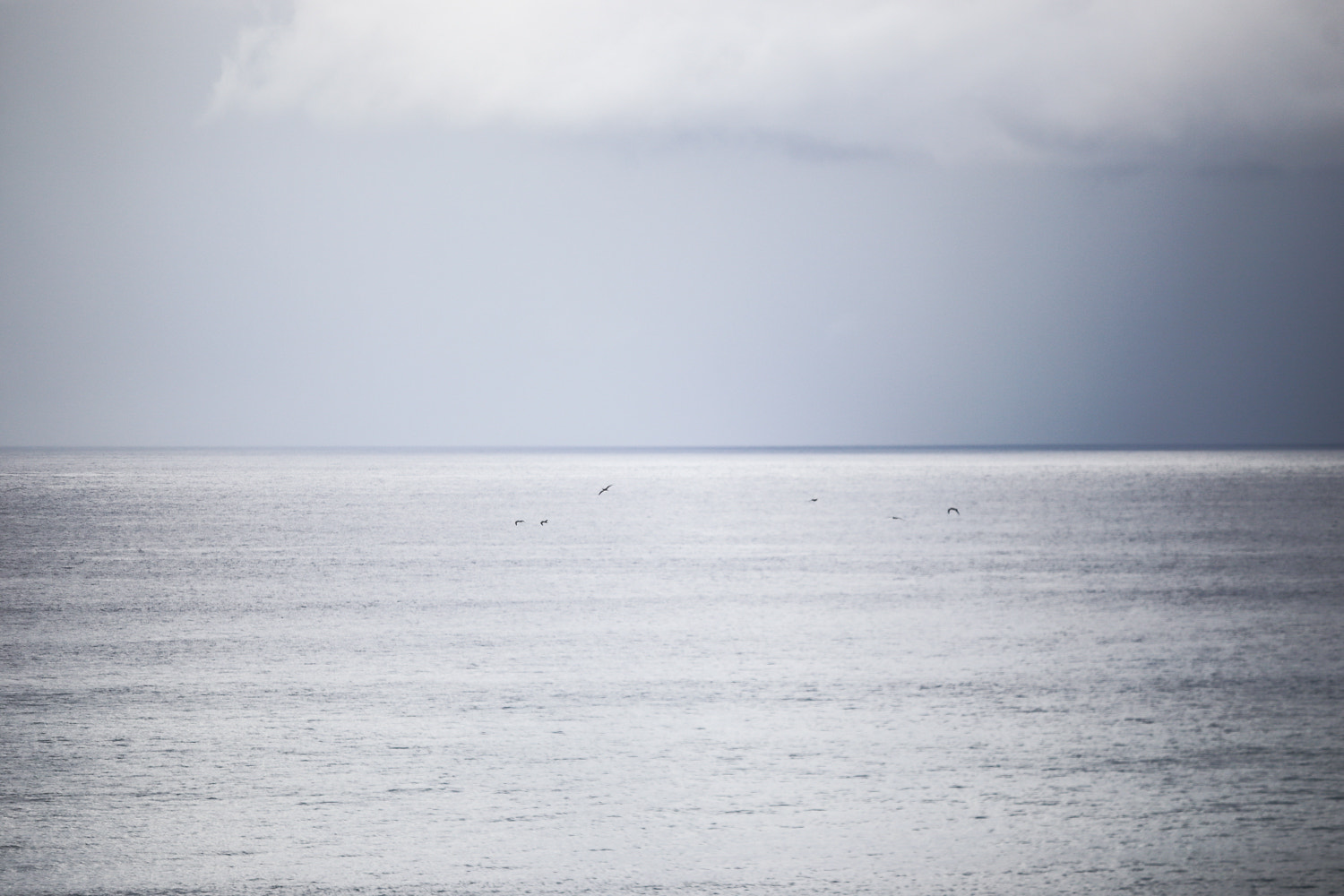 Canon EF 80-200mm f/2.8L sample photo