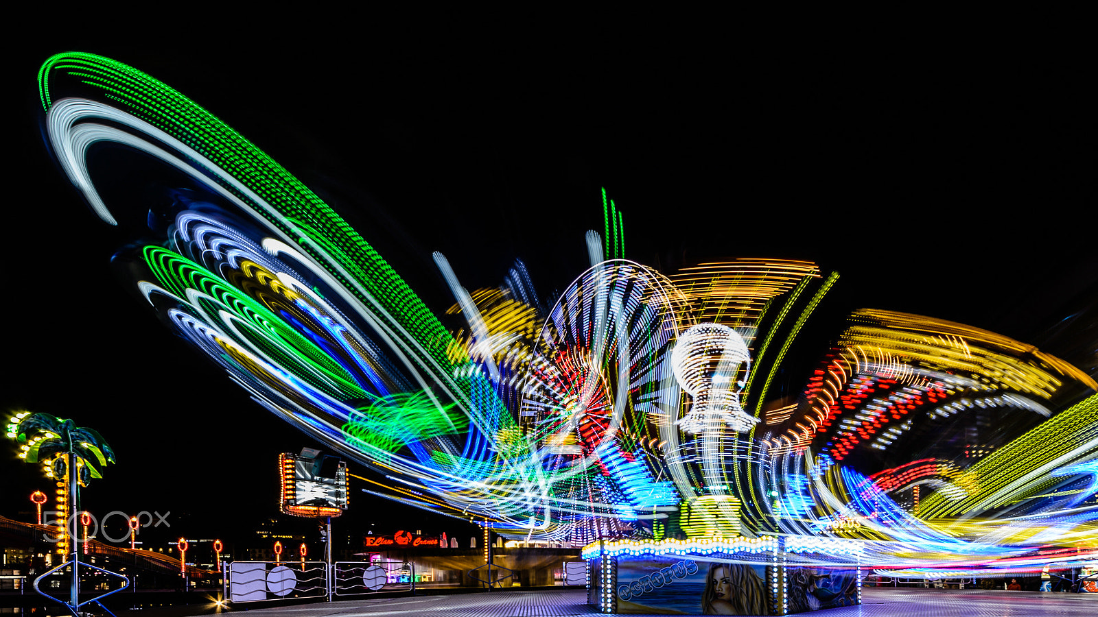 Sigma 12-24mm F4.5-5.6 EX DG Aspherical HSM sample photo. Octopus photography