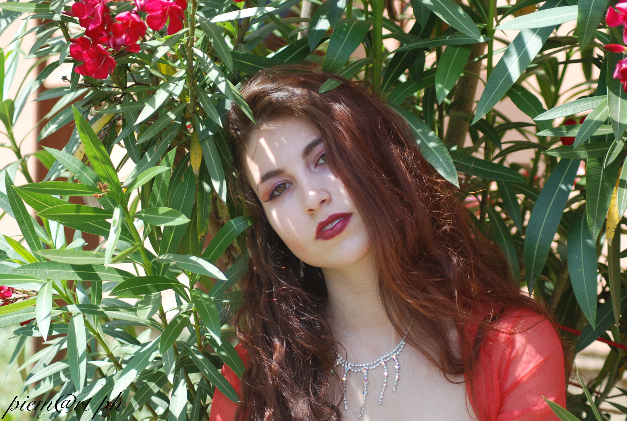 Nikon D80 sample photo
