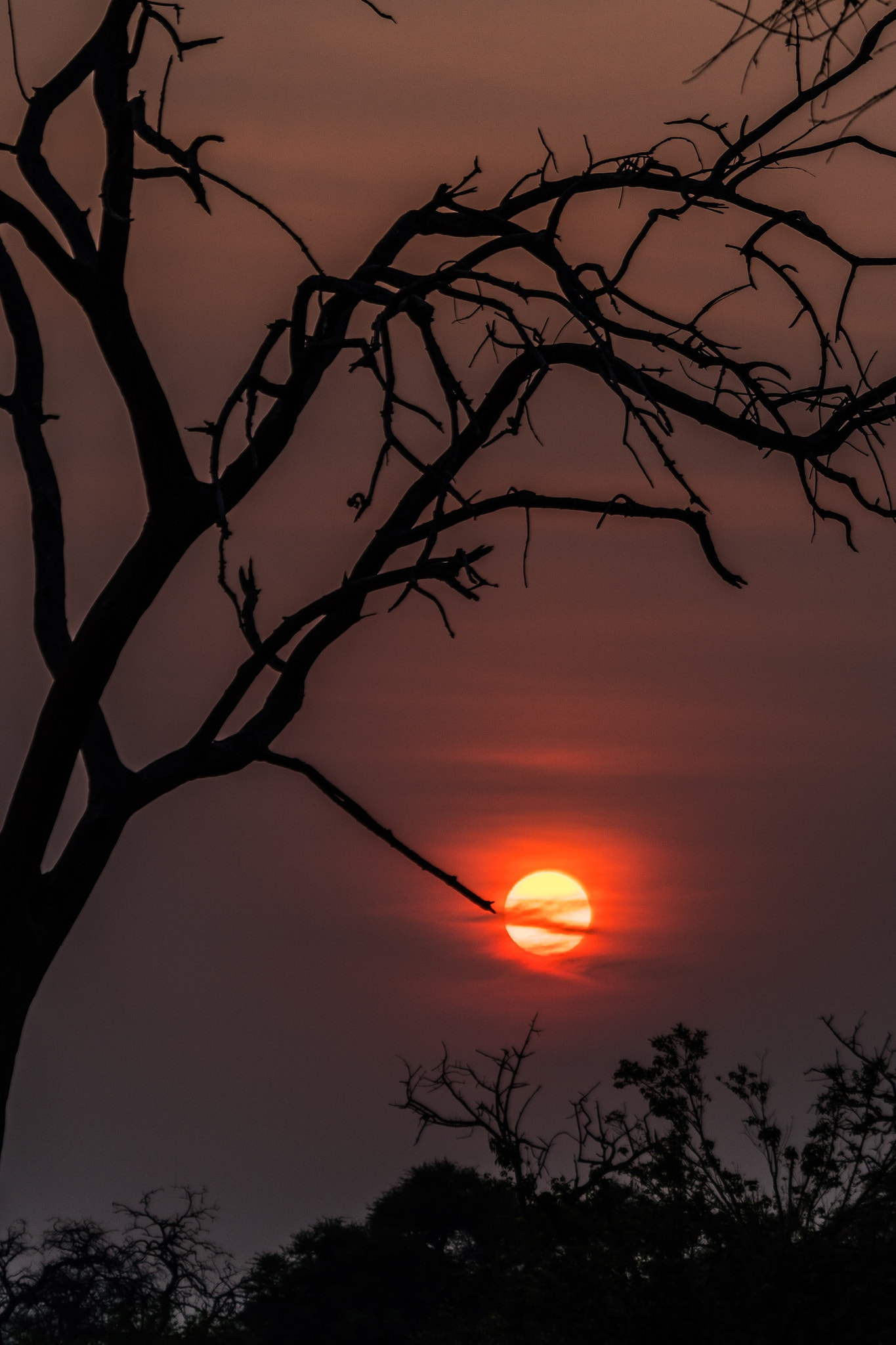 Sony FE 70-300mm F4.5-5.6 G OSS sample photo. Sunrise over chobe photography