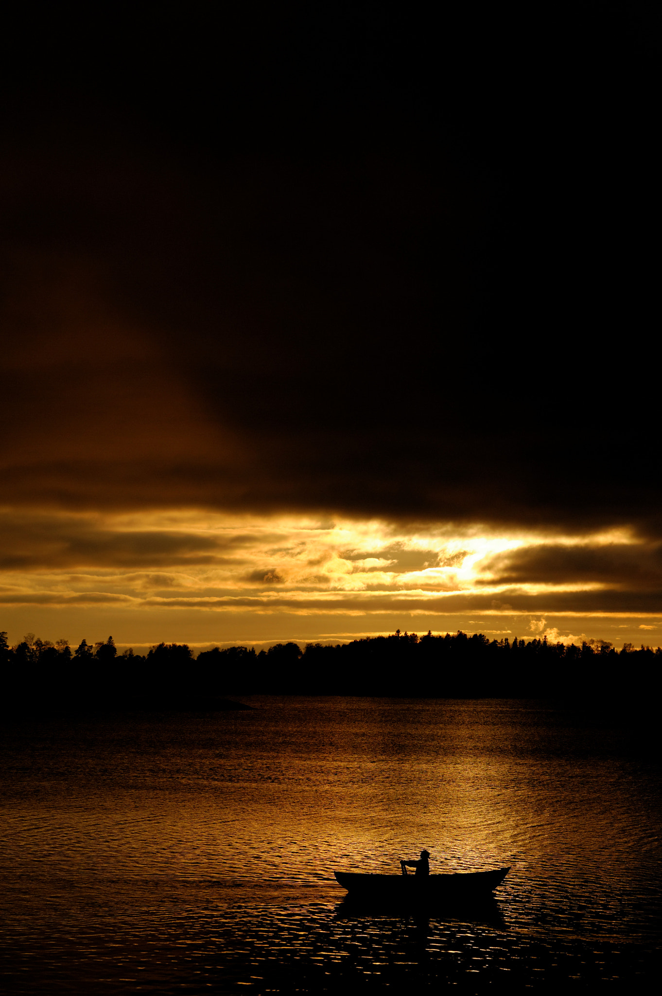 Nikon D3 sample photo. Last row before the winter. photography