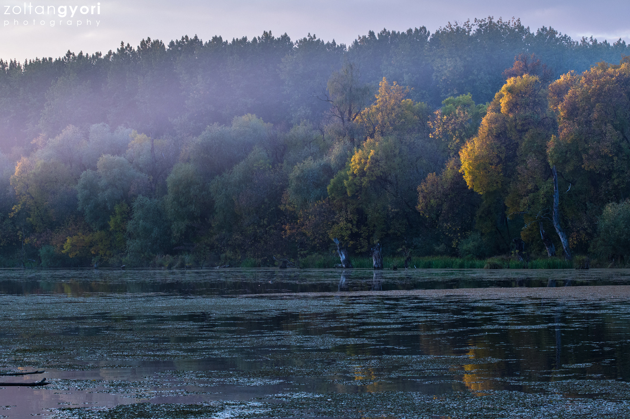 Canon EOS 6D sample photo. Foggy evening photography