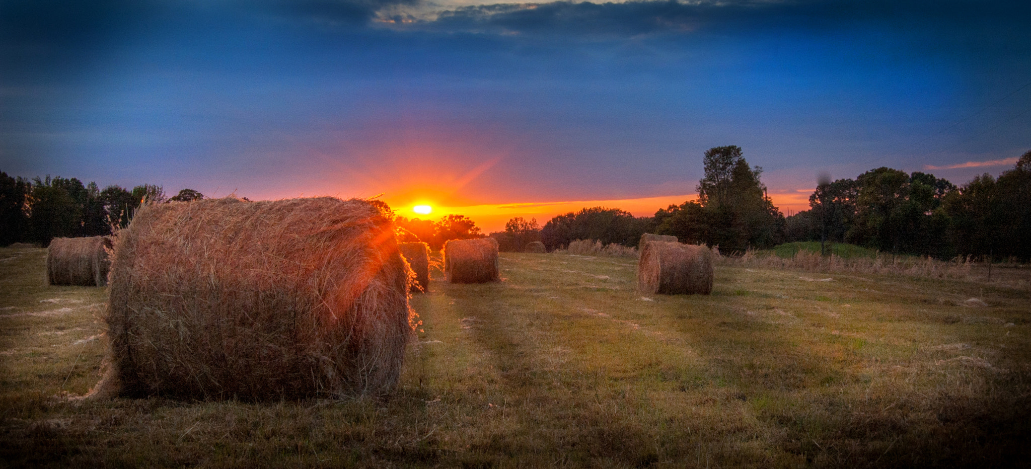 Nikon D70 sample photo. Hay in sunset 2 photography