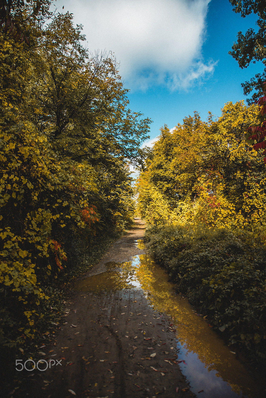 Tamron 18-270mm F3.5-6.3 Di II PZD sample photo. Fall greetings photography