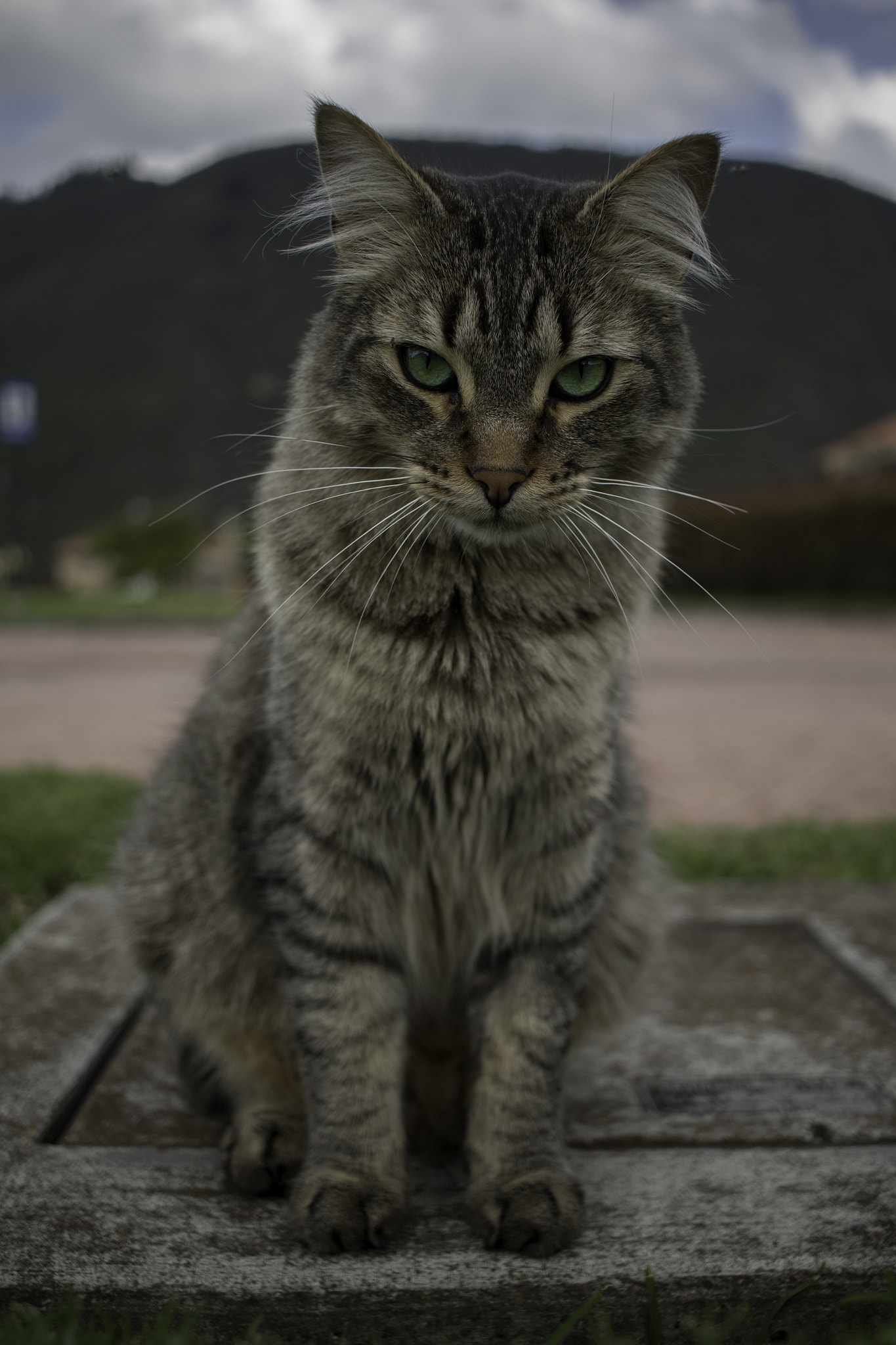 Canon EF-S 24mm F2.8 STM sample photo. Felix photography