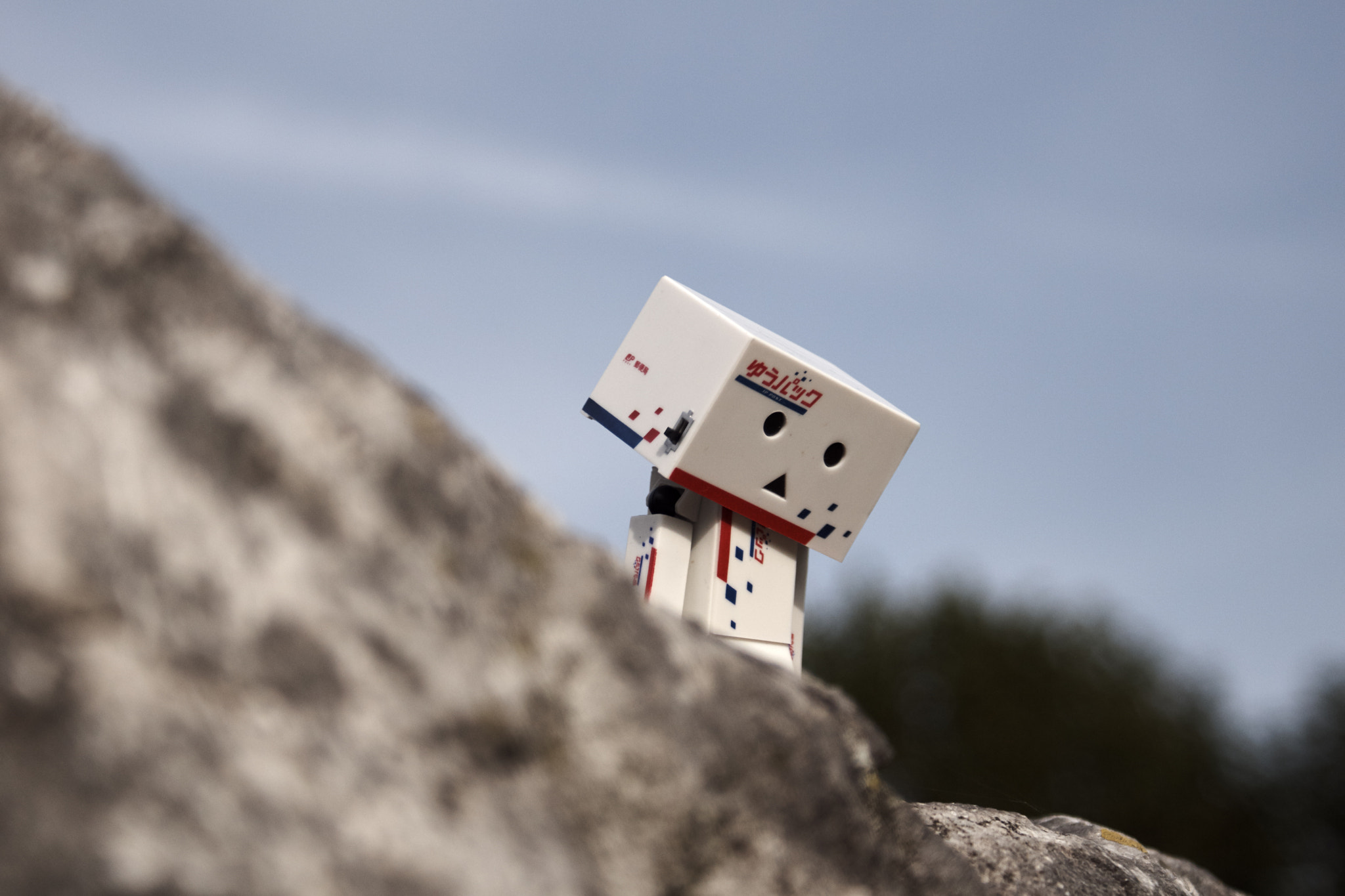 Sony SLT-A68 sample photo. Danbo 02 photography