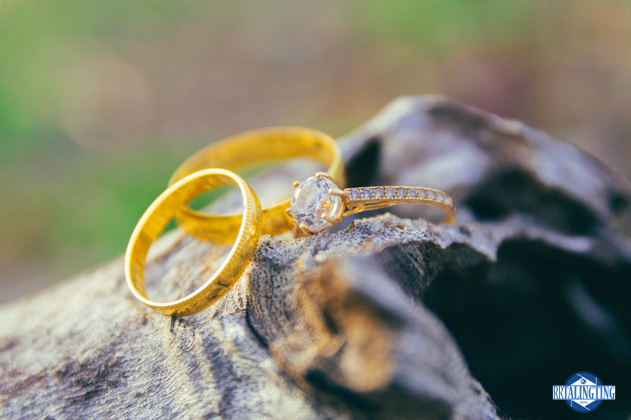 Sigma 17-70mm F2.8-4 DC Macro OS HSM | C sample photo. Rings photography