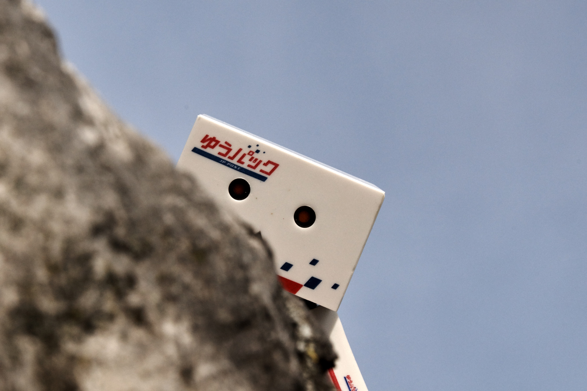 Sony SLT-A68 sample photo. Danbo 03 photography
