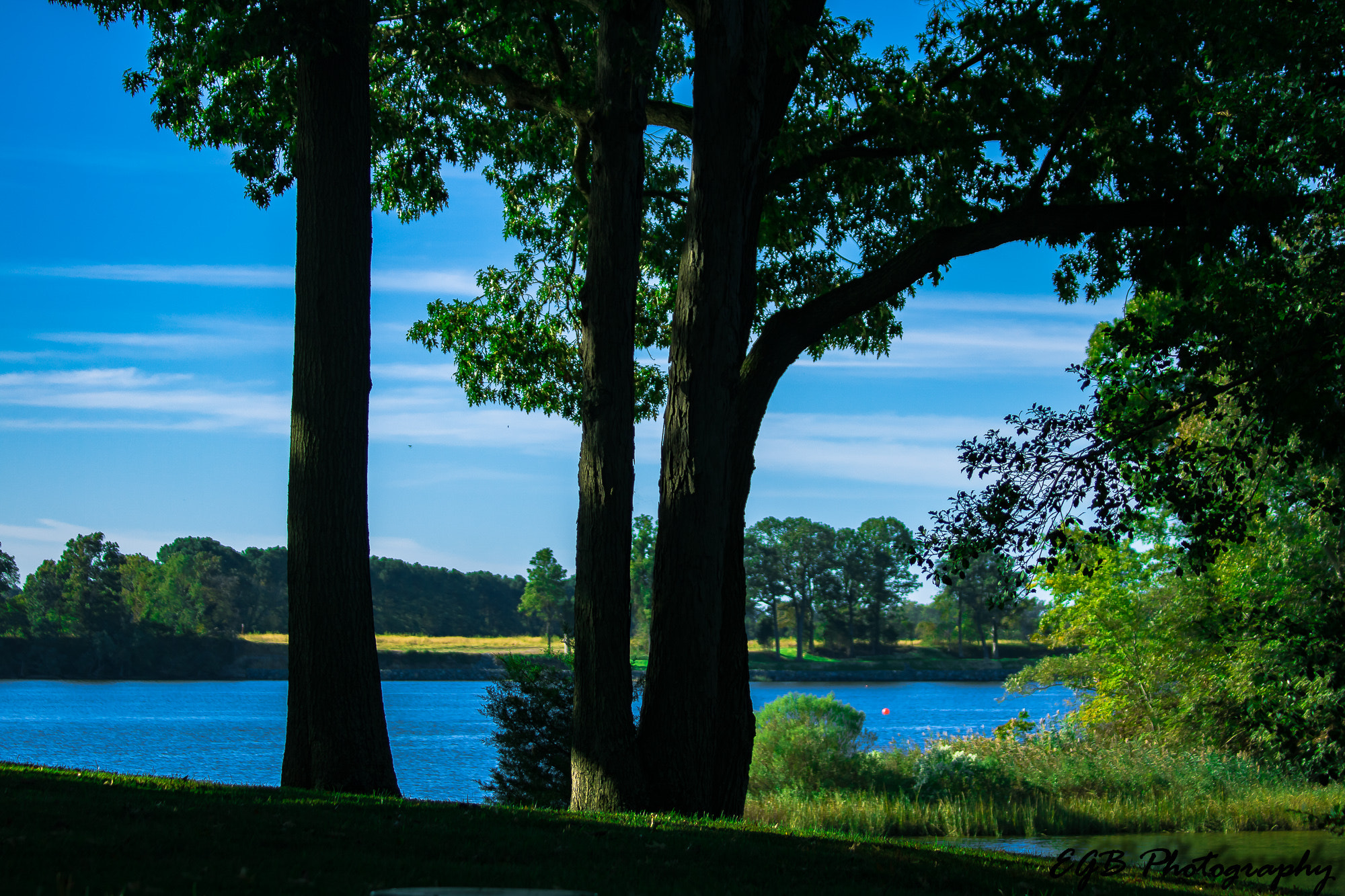 Canon EF 70-300mm F4-5.6 IS USM sample photo. What a view photography