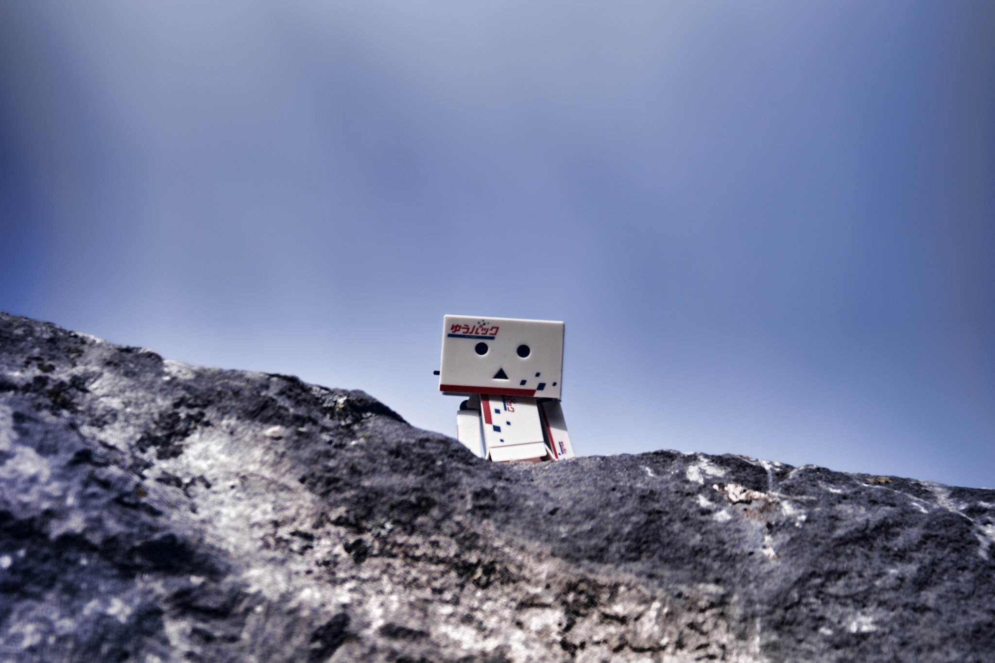 Sony SLT-A68 sample photo. Danbo 05 photography