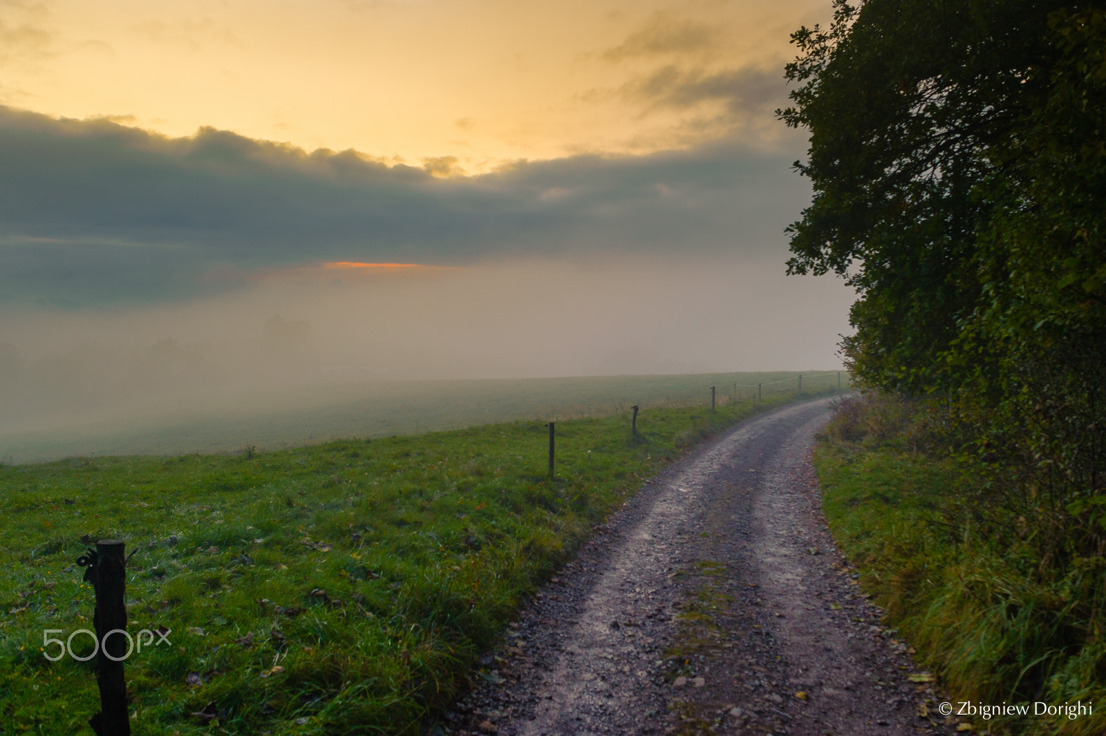 Nikon D700 + Sigma 24mm F1.8 EX DG Aspherical Macro sample photo. To the side of fog photography