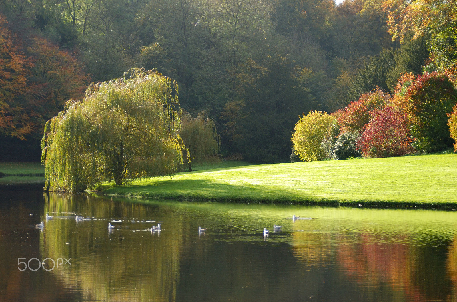 AF Zoom-Nikkor 28-105mm f/3.5-4.5D IF sample photo. Fountains abbey lake photography