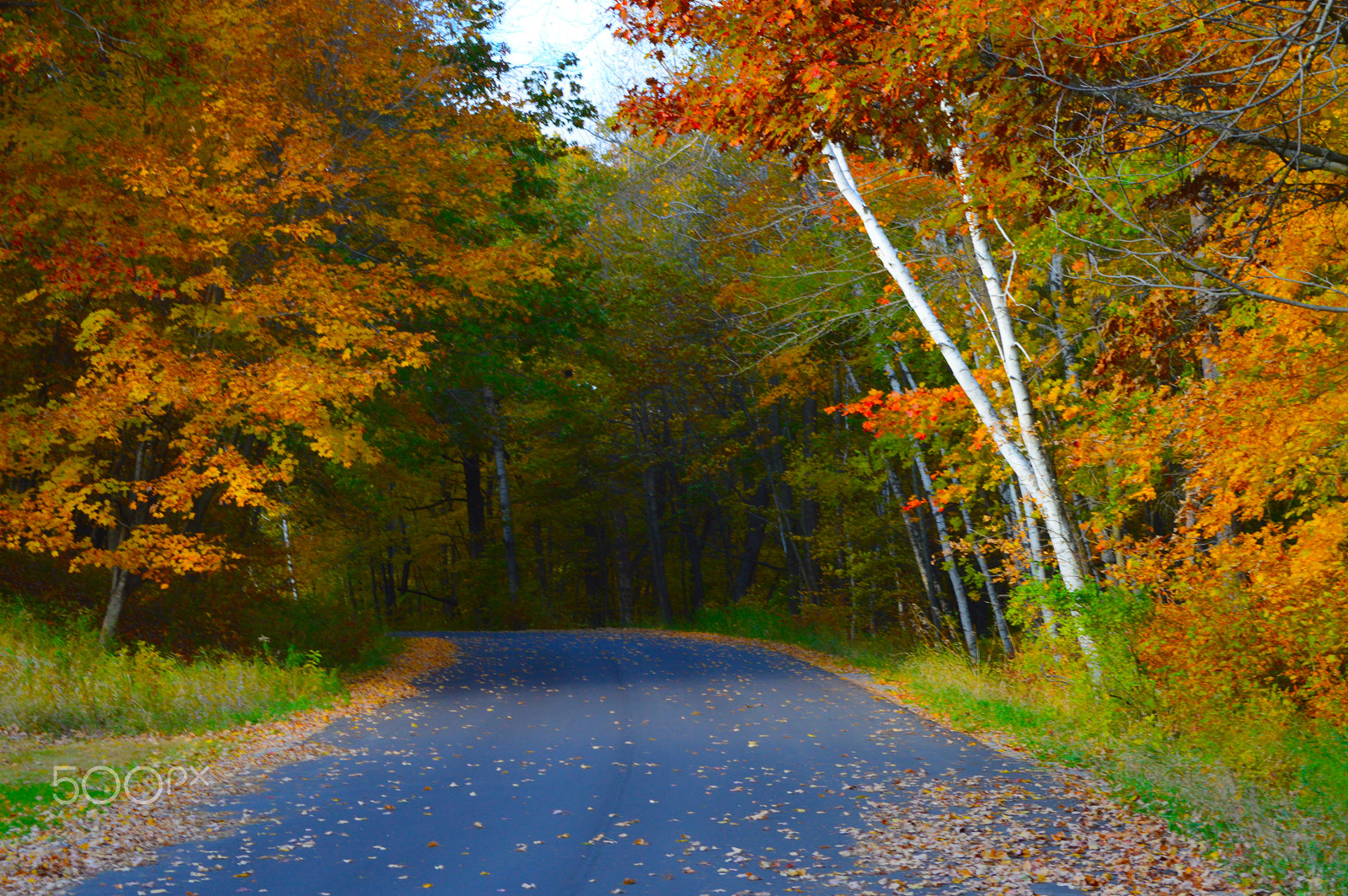 AF Zoom-Nikkor 35-70mm f/2.8D N sample photo. Fall in minnesota photography