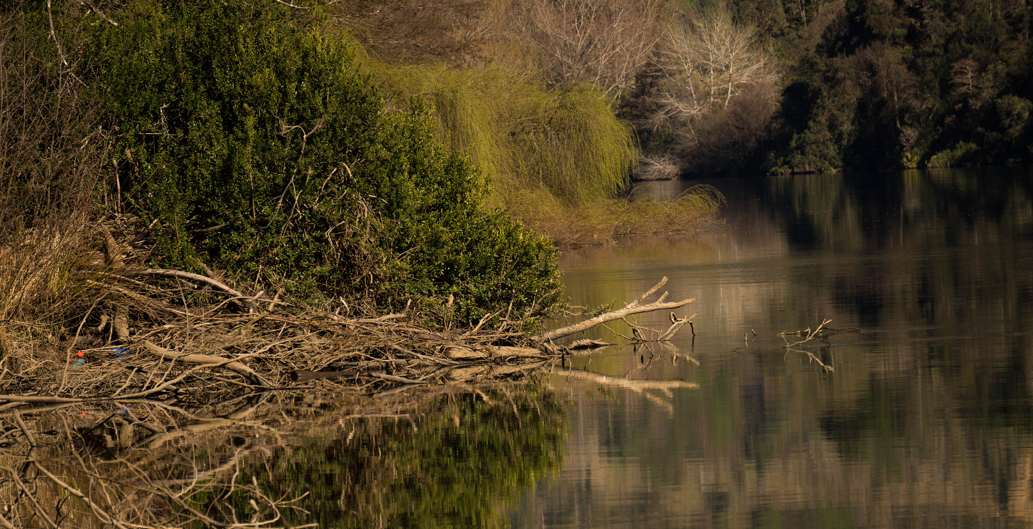 Sony Alpha a3000 sample photo. Hidden trash in the nature photography