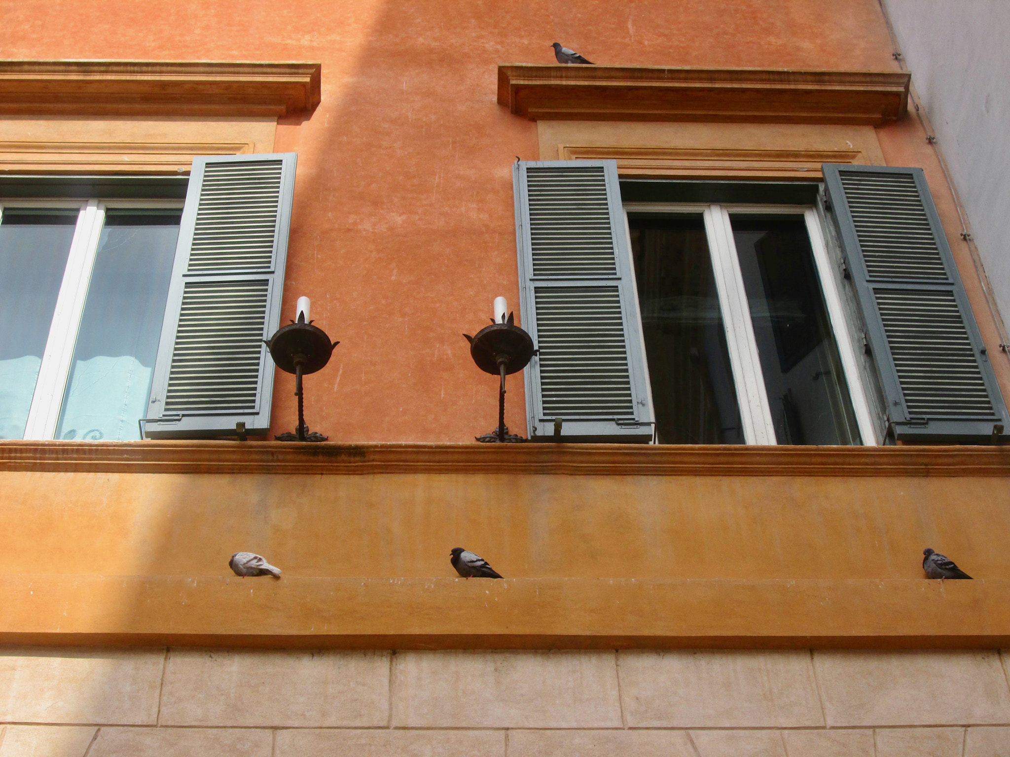 Canon POWERSHOT A2600 sample photo. Two windows, two candlesticks and four pigeons photography