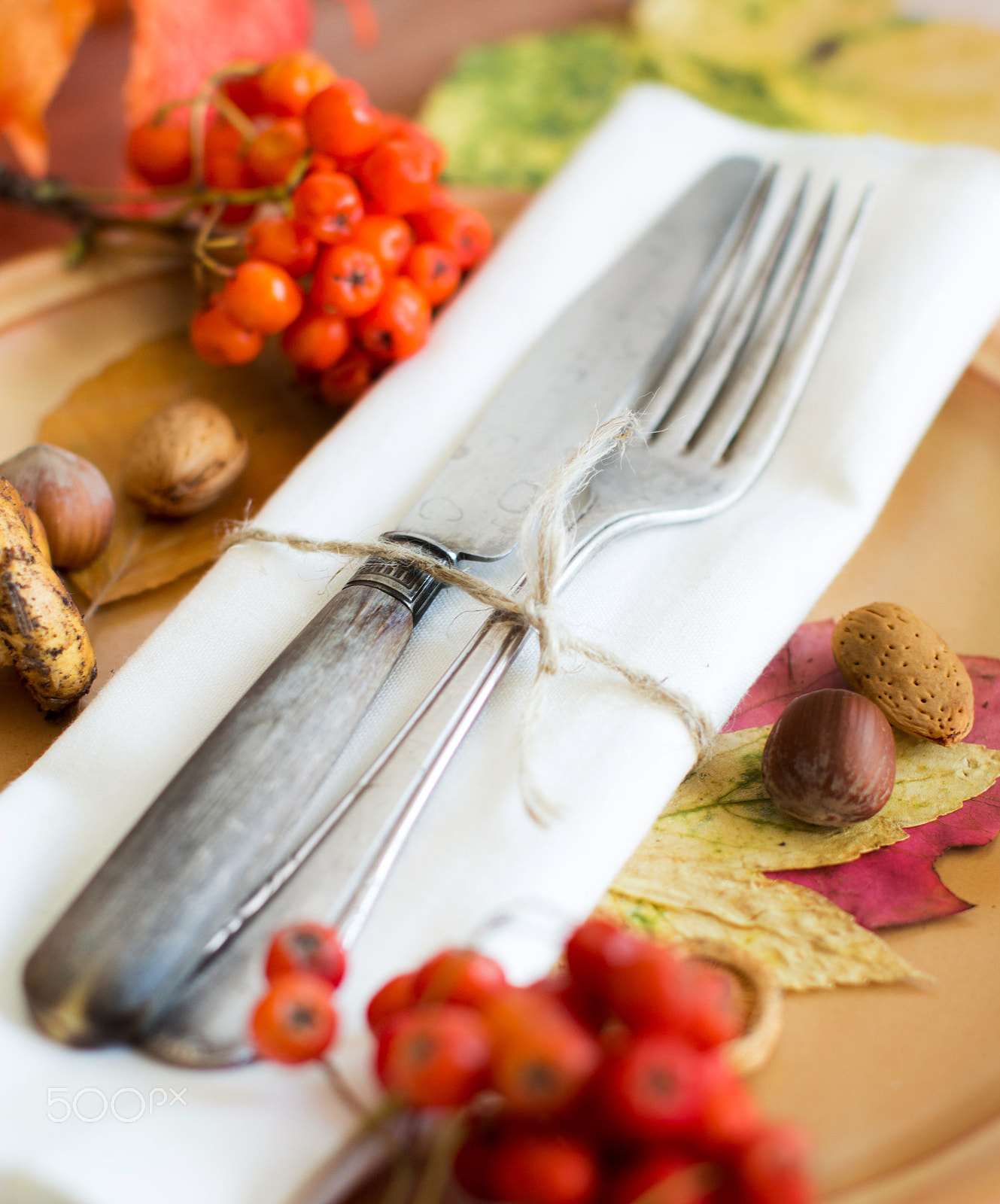 Canon EOS 650D (EOS Rebel T4i / EOS Kiss X6i) + Canon EF 50mm F1.2L USM sample photo. Autumn rustic table setting photography