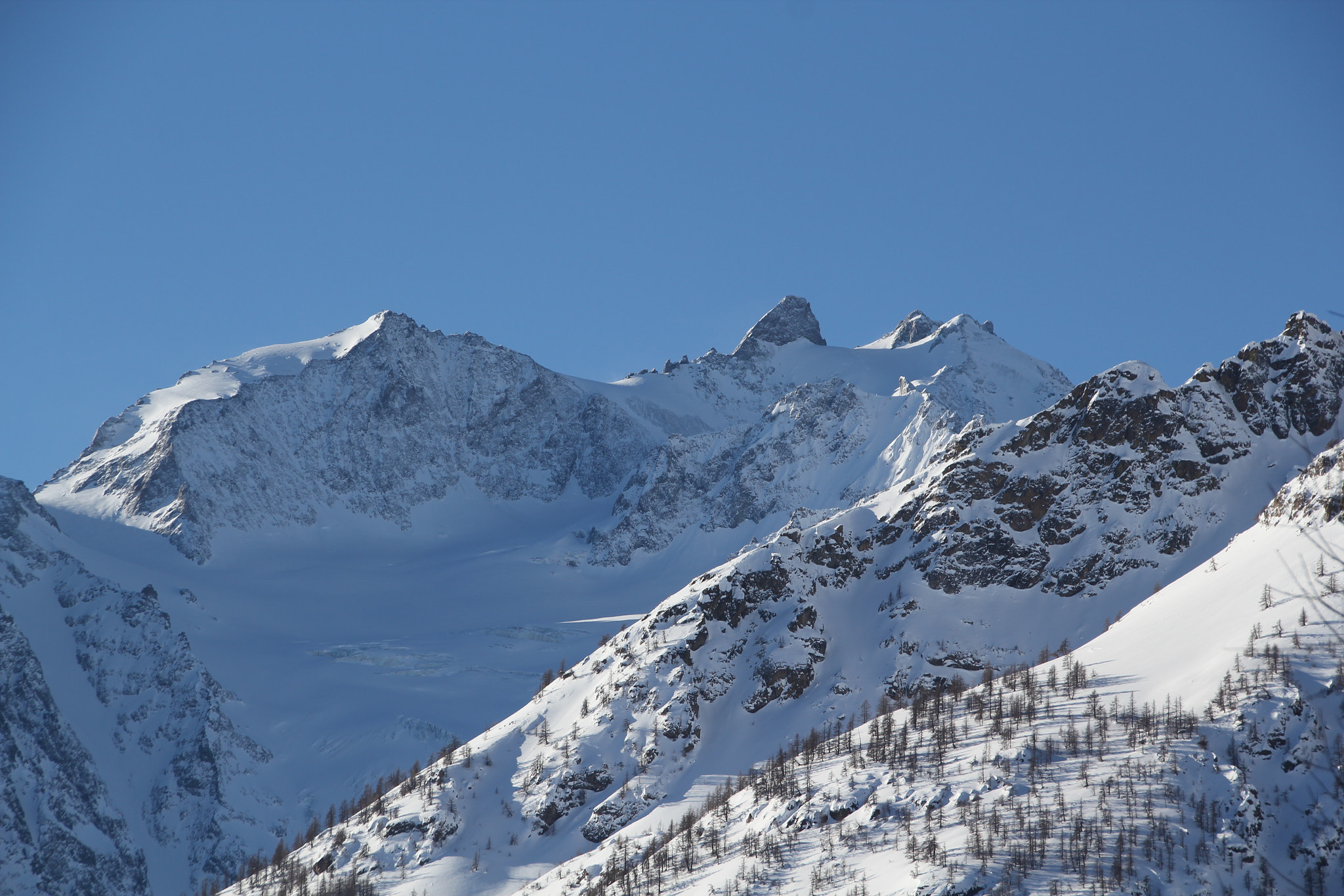 Sigma 18-250mm F3.5-6.3 DC OS HSM sample photo. Img photography