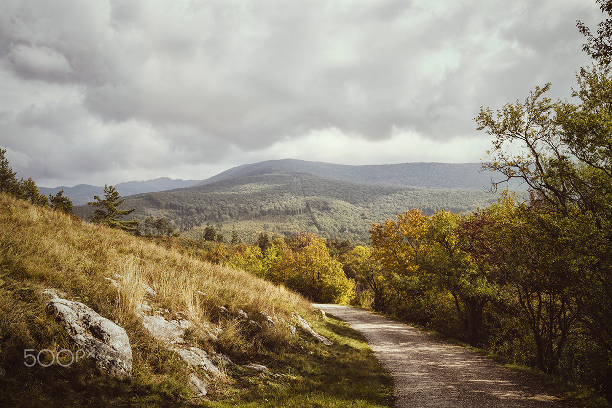 Sigma 18-35mm f/1.8 DC HSM sample photo. Autumn photography