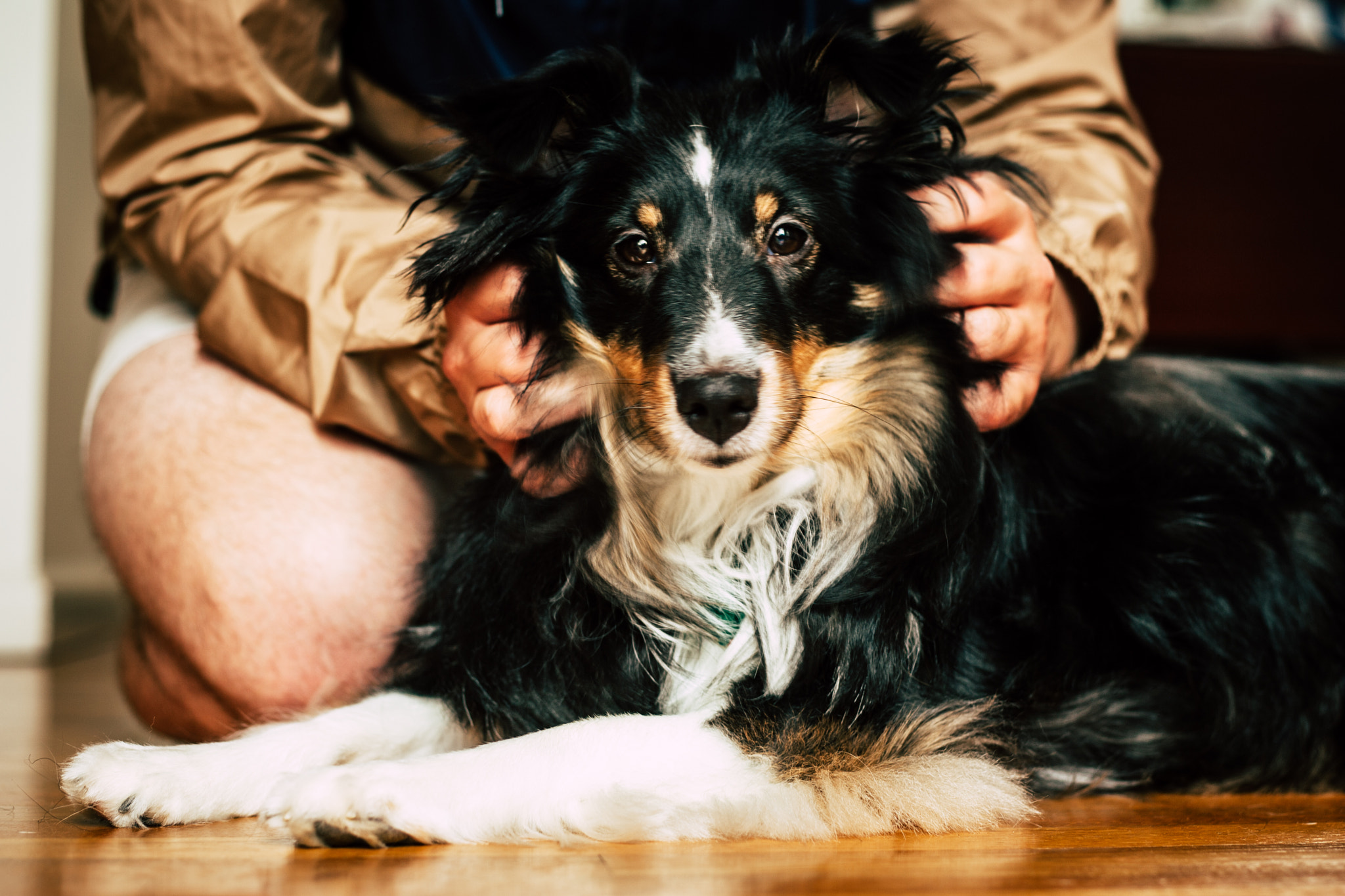 Canon EOS-1D Mark II sample photo. Furry sister photography