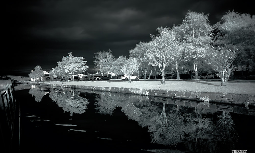 Nikon D70 sample photo. Evening light photography