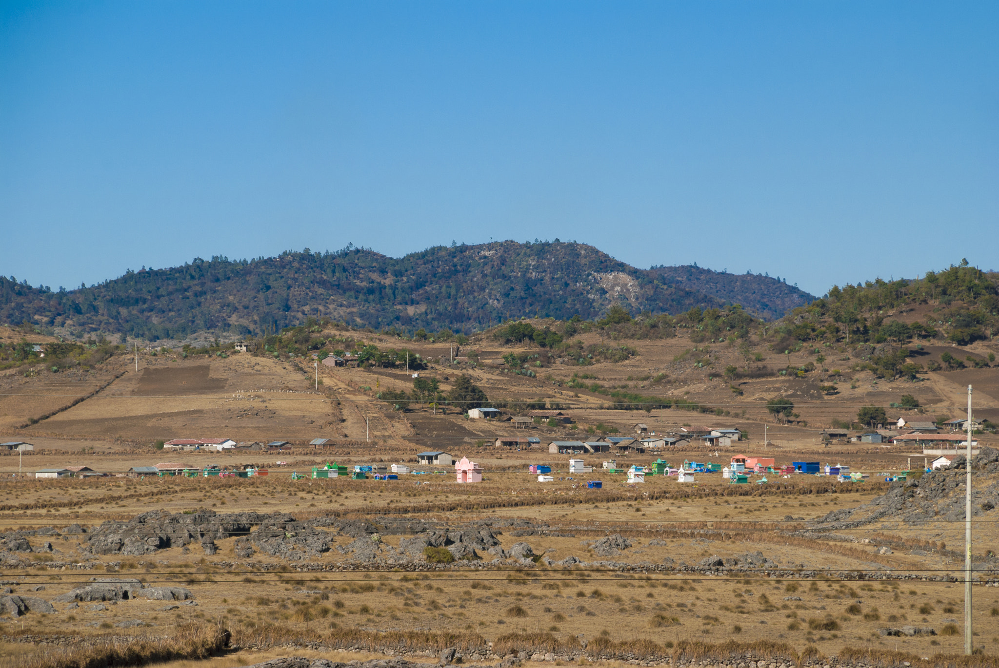 Nikon D200 sample photo. Mountain village and goats lit by morning sun in h photography