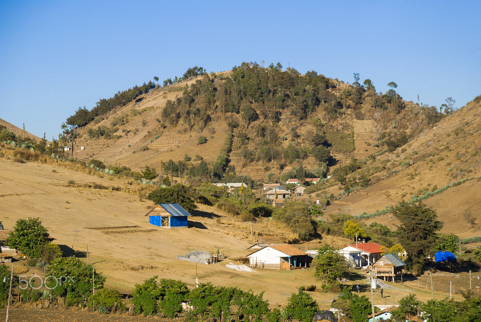 Nikon D200 sample photo. Mountain village and goats lit by morning sun in h photography