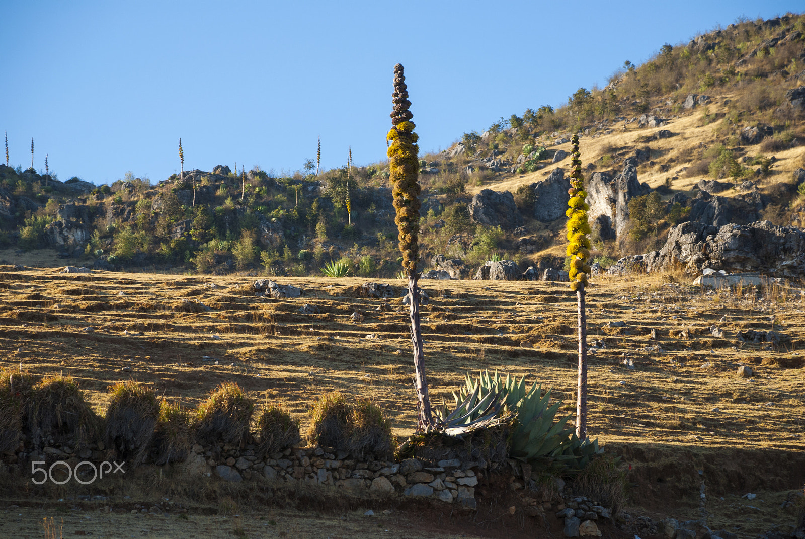 Nikon D200 sample photo. Rock mountain in huehuetenango, guatemala. photography