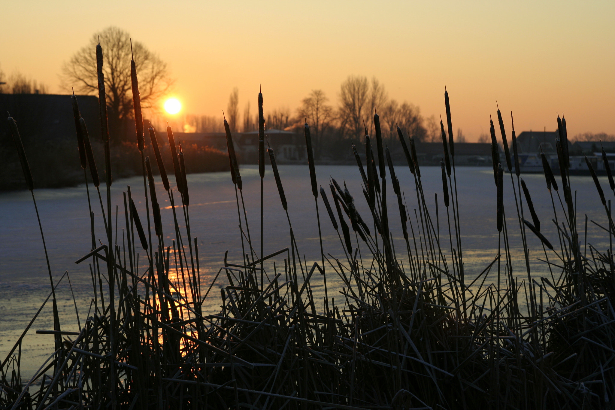 Canon EOS 350D (EOS Digital Rebel XT / EOS Kiss Digital N) sample photo. Happy winter photography