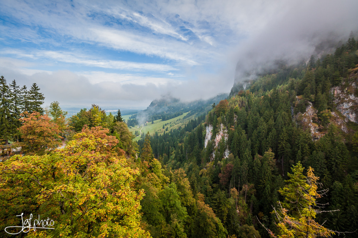 Canon EOS 50D sample photo. Bavarian forest photography