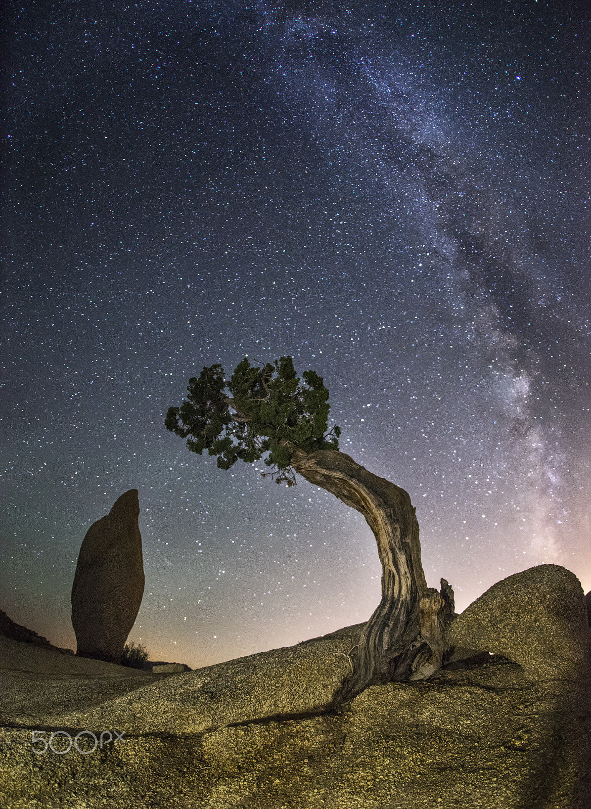 Sony a7R sample photo. Juniper monolith milky way photography