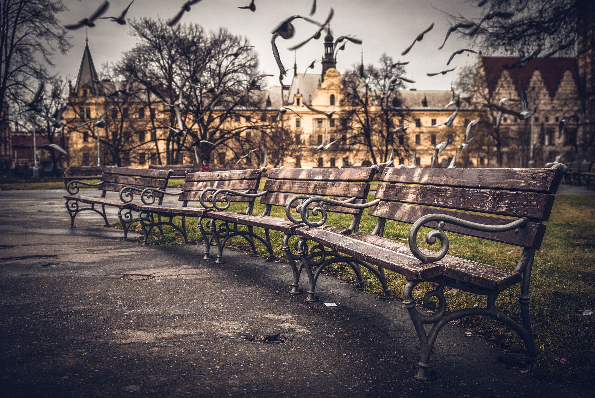 Nikon D80 sample photo. Pigeons flying over the waves of benches handles, prague photography