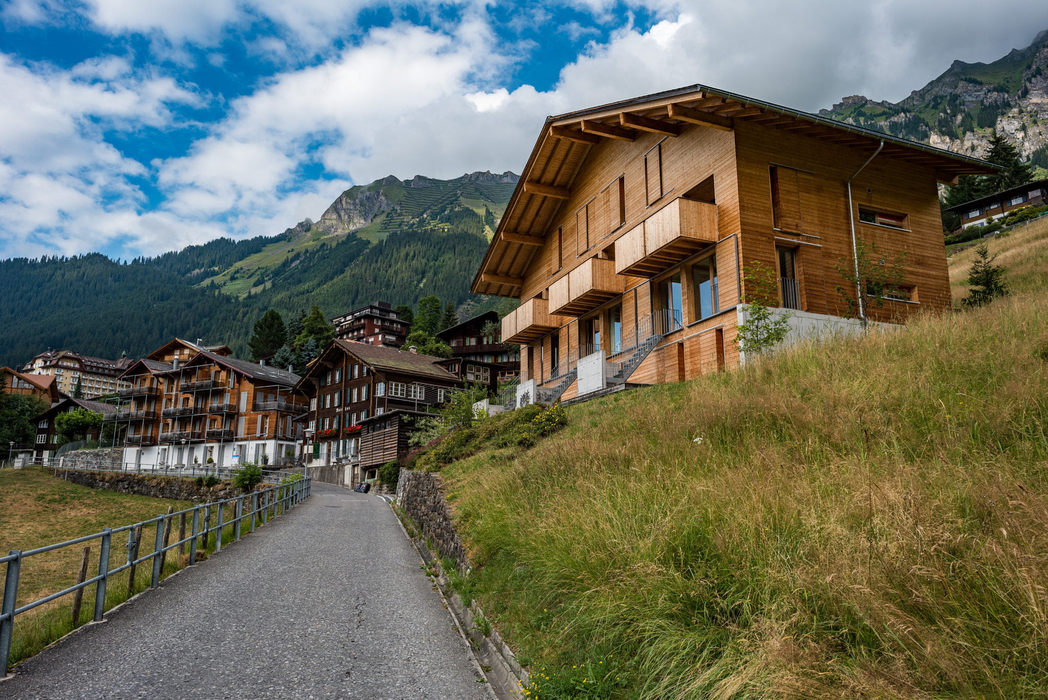 Nikon AF-S Nikkor 24mm F1.4G ED sample photo. Wengen countryside photography