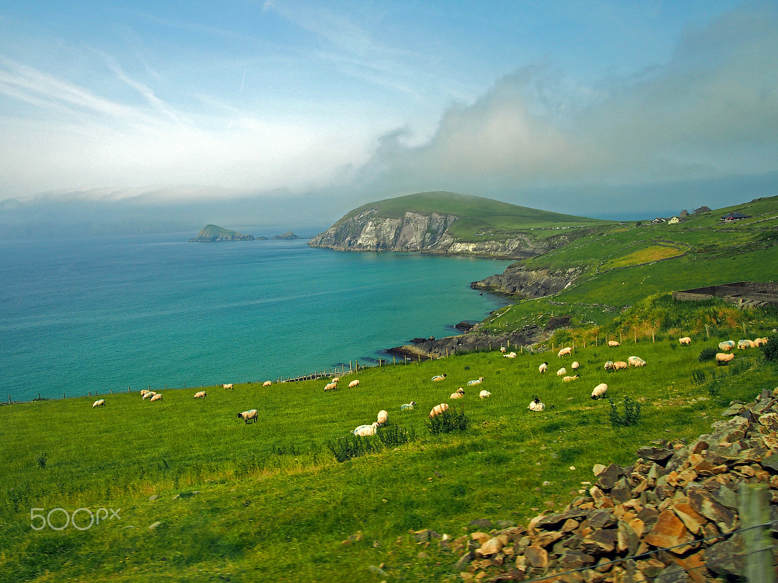 Olympus PEN E-PM2 sample photo. Sheep and coastline landscape, ireland photography