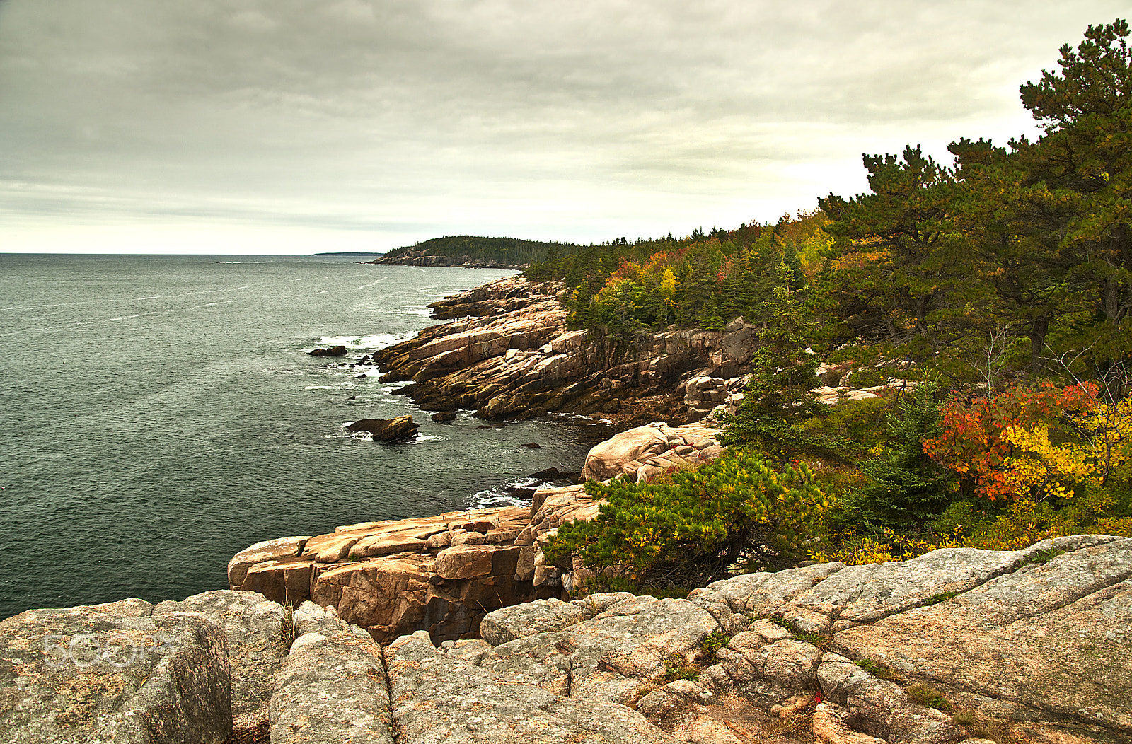 Sigma 28-300mm F3.5-6.3 DG Macro sample photo. Acadia national park foliage photography