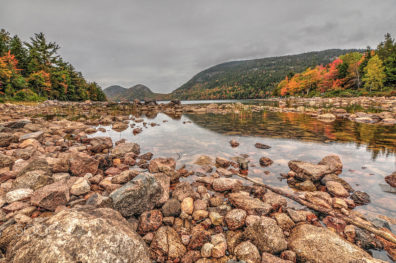 Nikon D5000 sample photo. Acadia national park foliage photography