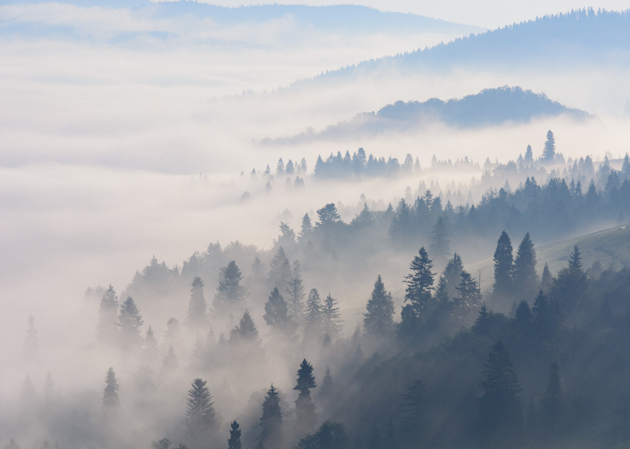 Sigma 18-250mm F3.5-6.3 DC Macro OS HSM sample photo. Morning fog in pieniny photography
