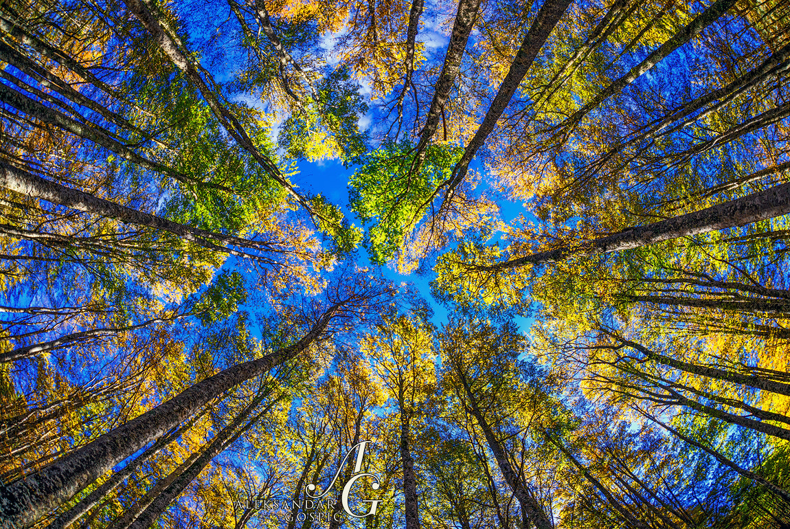 Nikon D800E + Sigma 15mm F2.8 EX DG Diagonal Fisheye sample photo. Neck exercise photography