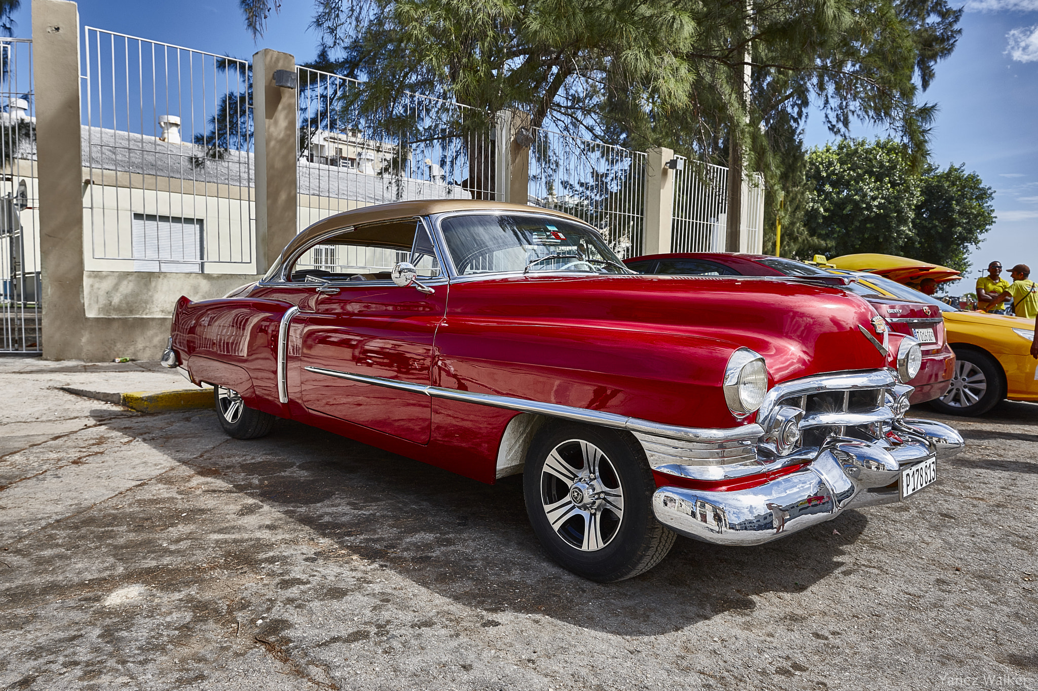 Canon EOS-1Ds Mark III sample photo. Coche 9 photography