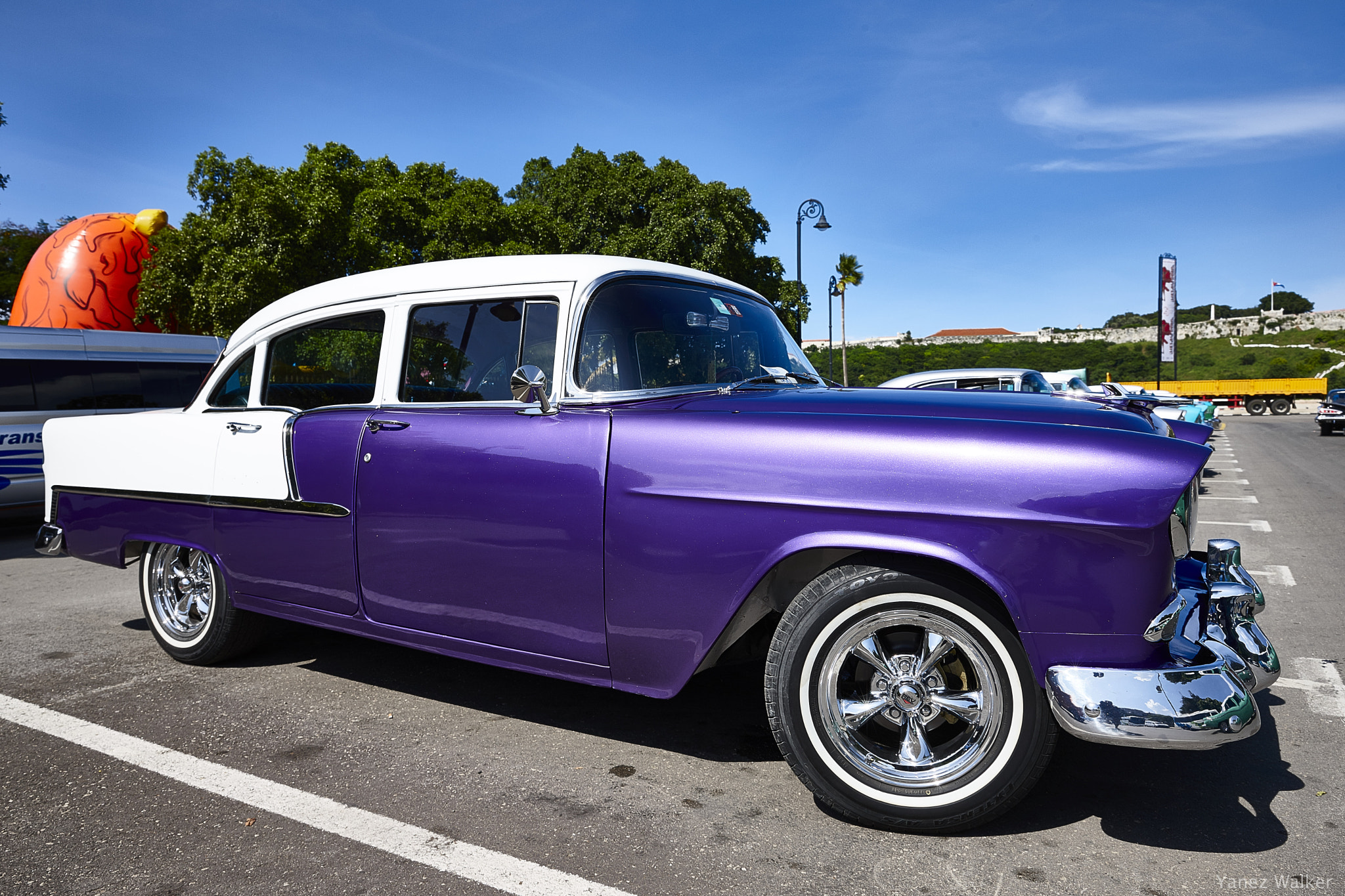 Canon EOS-1Ds Mark III sample photo. Coche 8 photography
