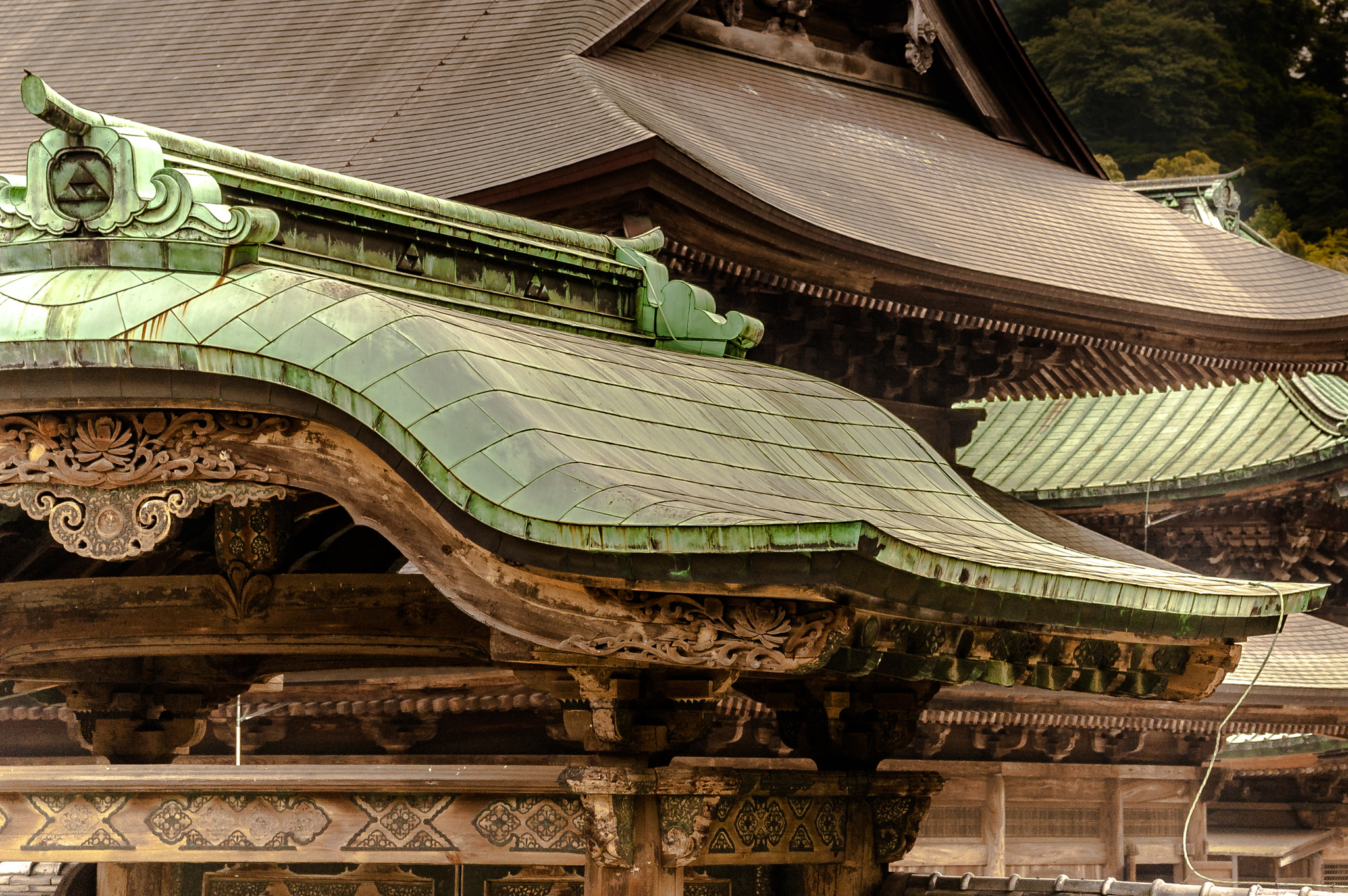 AF Zoom-Nikkor 28-85mm f/3.5-4.5 sample photo. Temple roofs, kamakura, japan photography