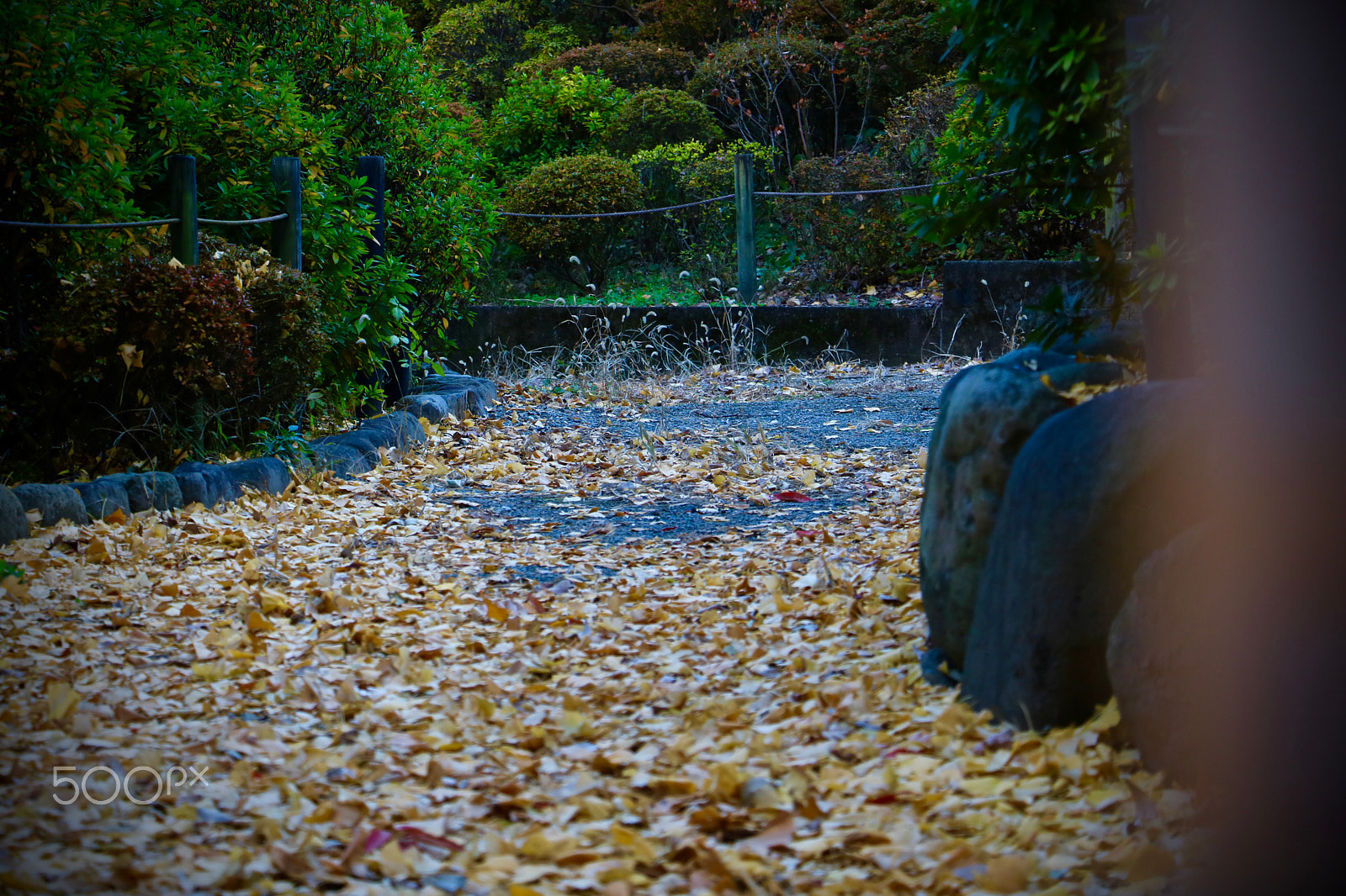 Canon EOS 760D (EOS Rebel T6s / EOS 8000D) + Canon EF-S 18-135mm F3.5-5.6 IS STM sample photo. Japanese garden photography