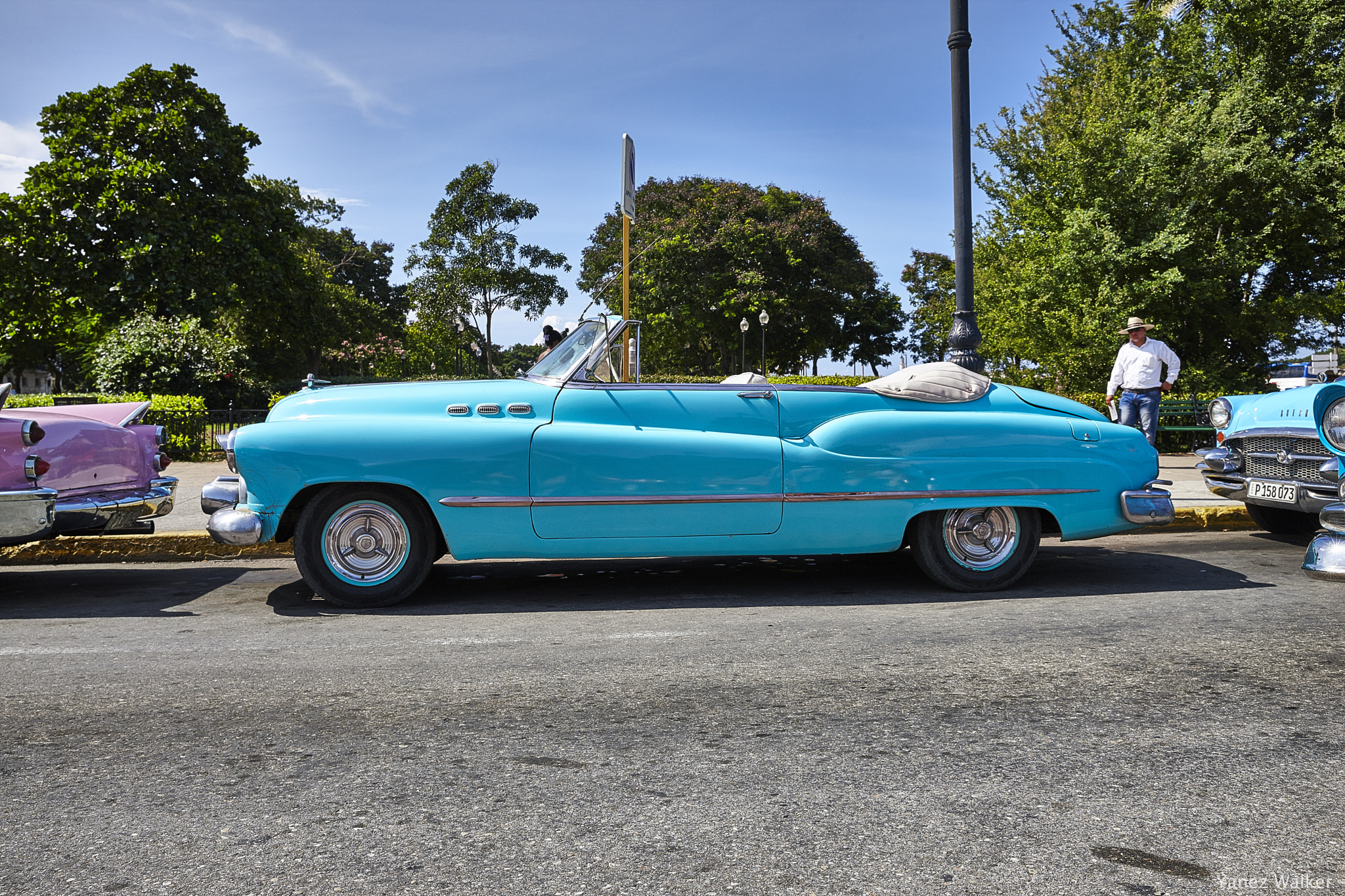 Canon EOS-1Ds Mark III sample photo. Coche 5 photography
