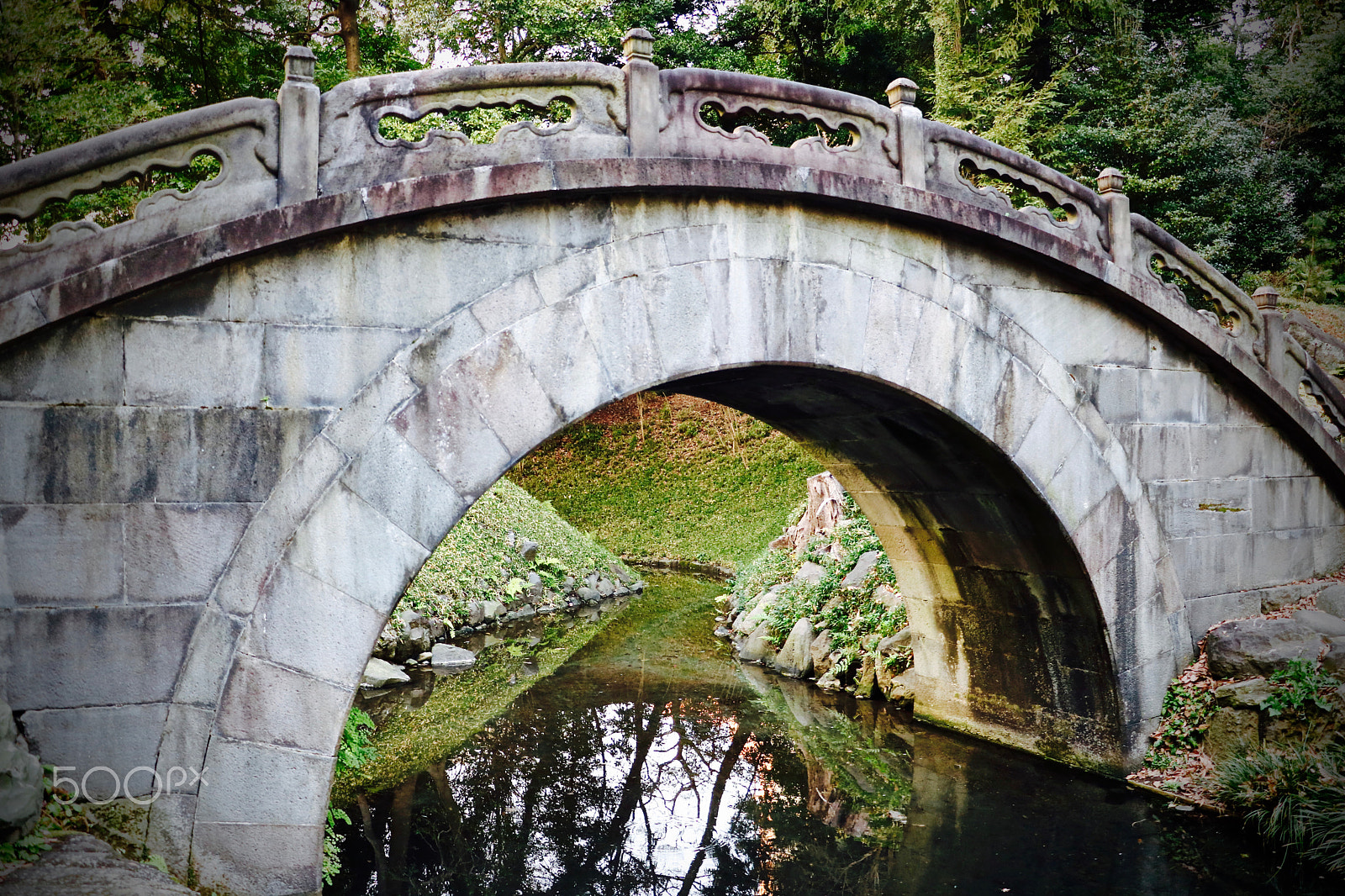 Canon EOS 760D (EOS Rebel T6s / EOS 8000D) + Canon EF-S 18-135mm F3.5-5.6 IS STM sample photo. Koishi-kawa korakuen (tokyo) photography