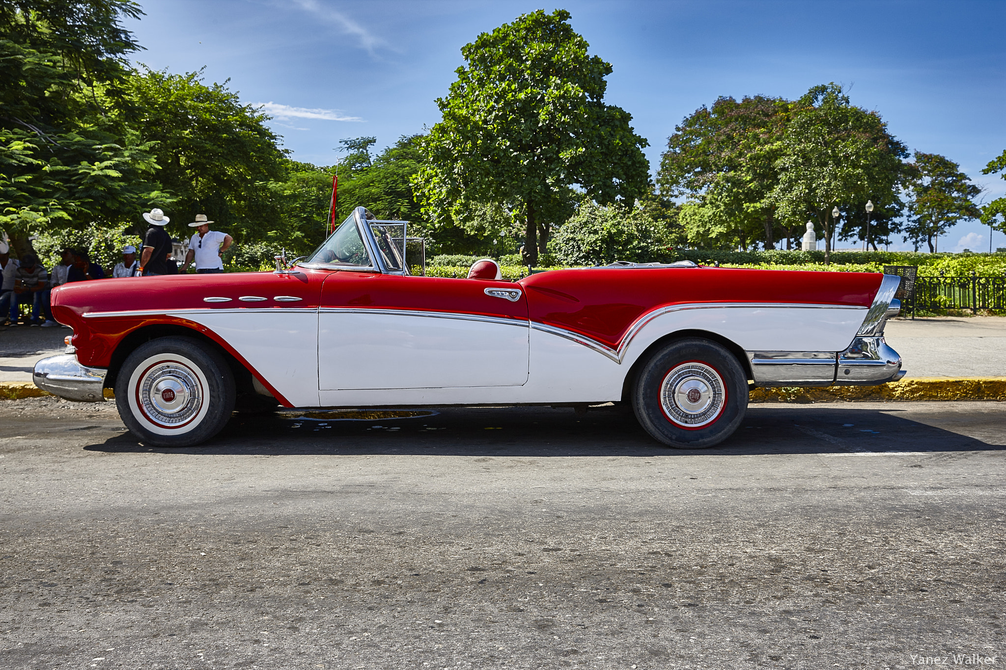 Canon EOS-1Ds Mark III sample photo. Coche 4 photography