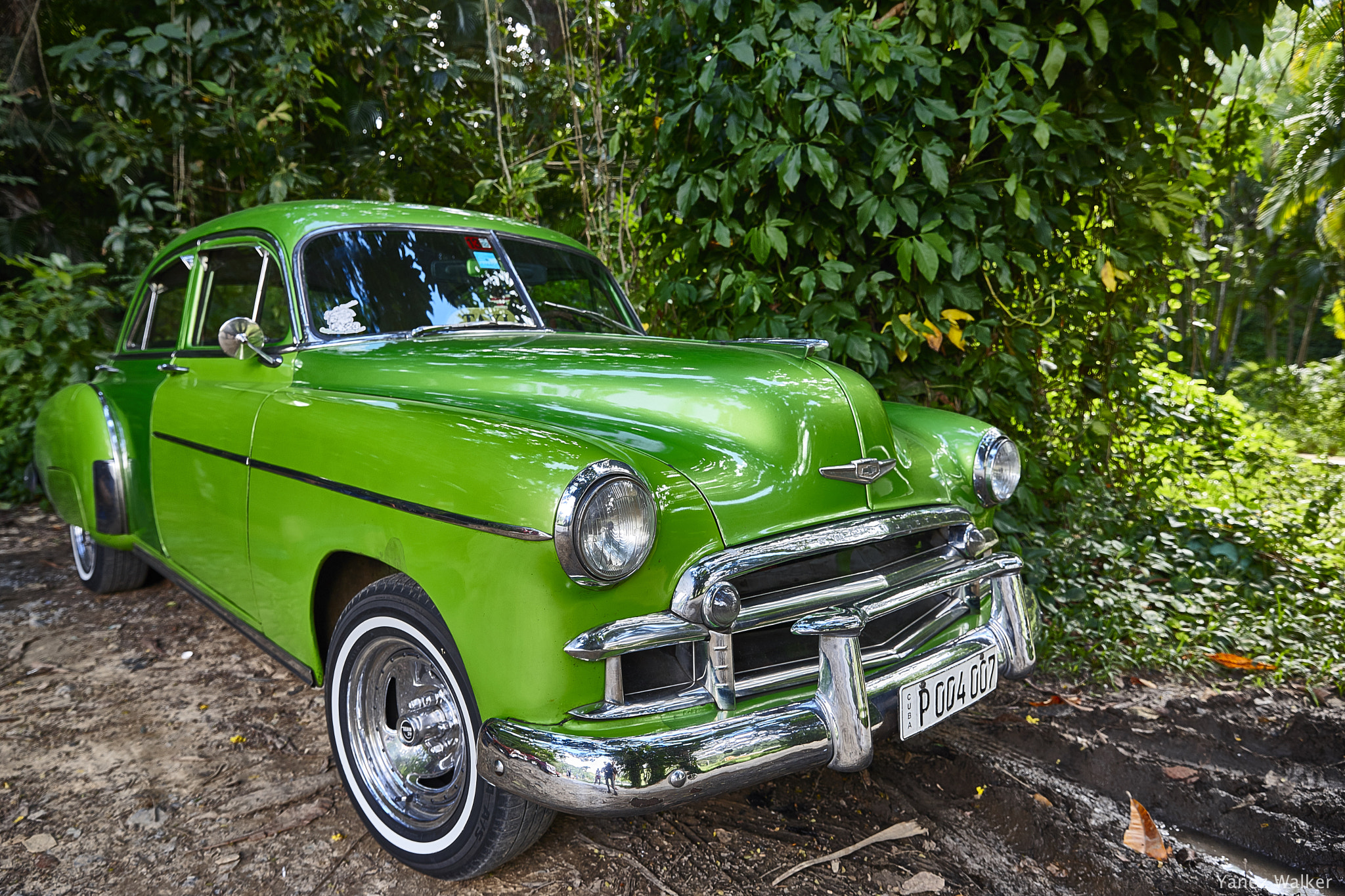 Canon EOS-1Ds Mark III sample photo. Coche 3 photography