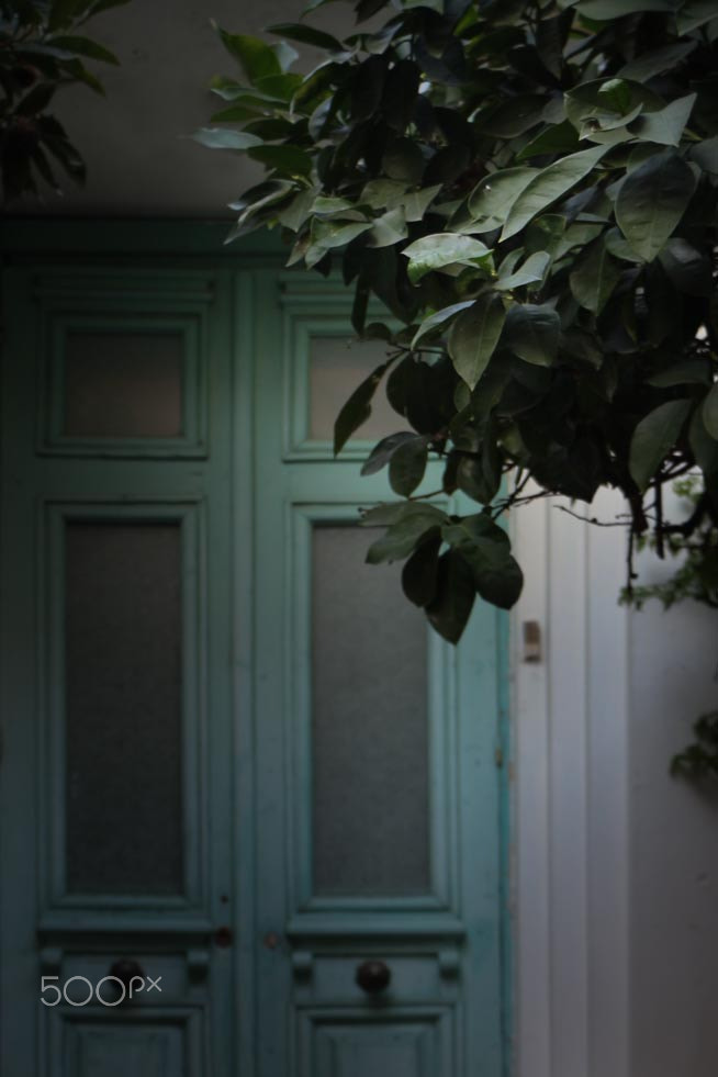 Canon EOS 700D (EOS Rebel T5i / EOS Kiss X7i) sample photo. Color of my childhood photography