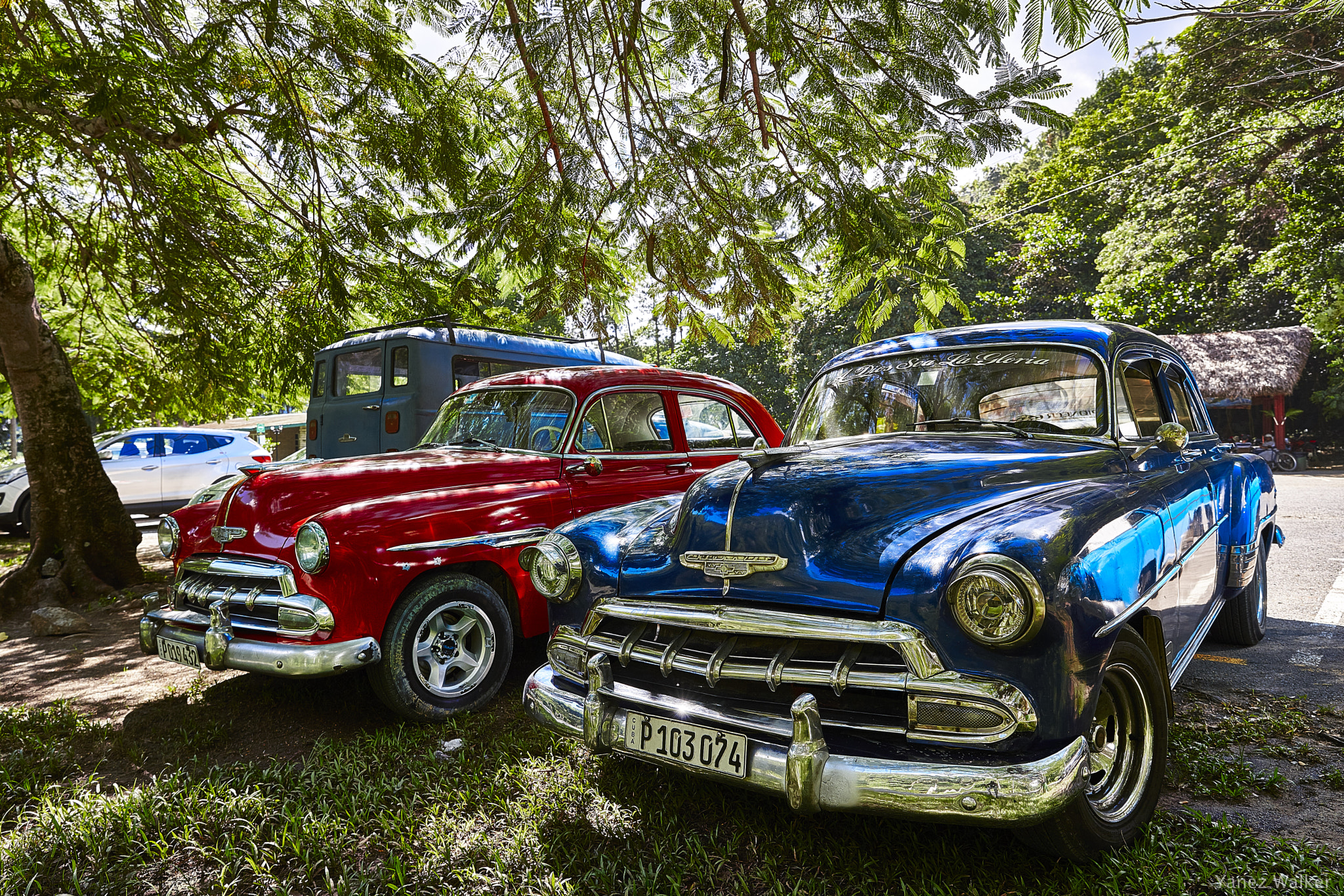 Canon EOS-1Ds Mark III sample photo. Coche 2 photography