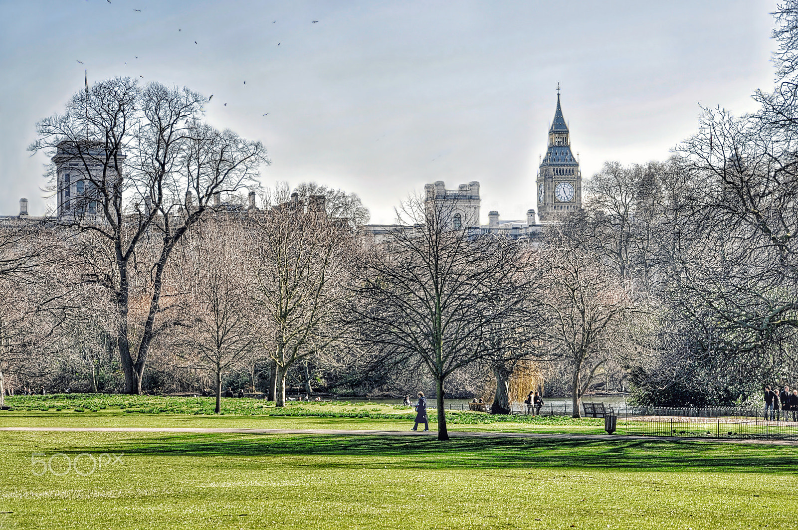 Nikon D90 + Sigma 18-200mm F3.5-6.3 DC sample photo. Walk in the park photography